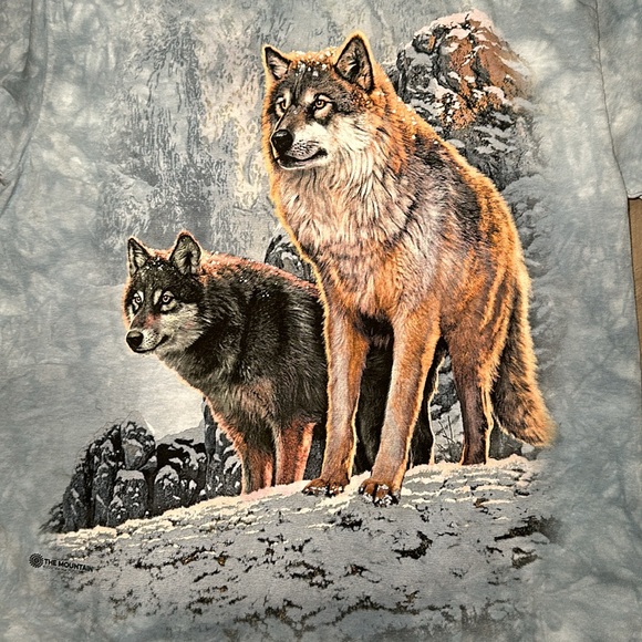 The Mountain Wolves 2017 Tee - Medium - Picture 5 of 6